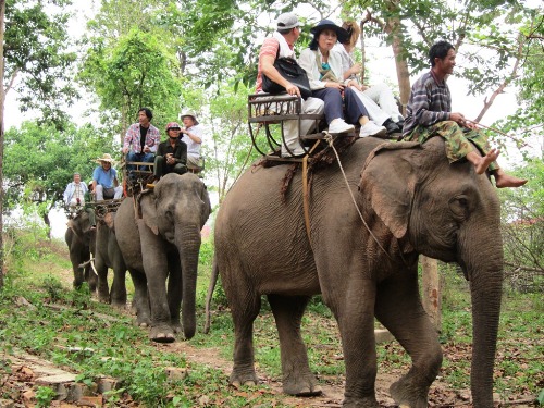 Lễ hội độc đáo ở Buôn Đôn