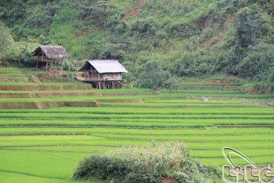 Tham quan thắng cảnh Yên Bái ngày xuân