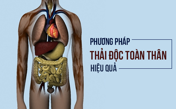 Bật mí cách thải độc cơ thể với 2 vị thuốc quý từ thiên nhiên