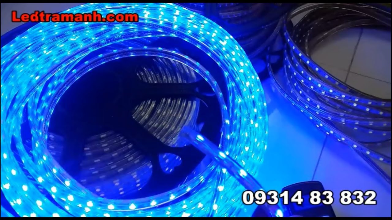 Đèn led dây 5050 220v, đèn led dây 3014 220V 100 mét trang trí ngoài trời