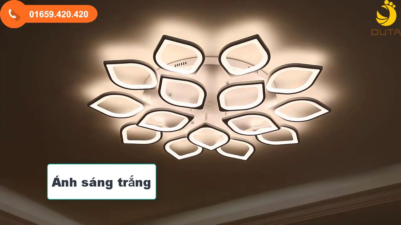 Đèn ốp trần trang trí phòng khách , phòng ngủ mã DT-1229