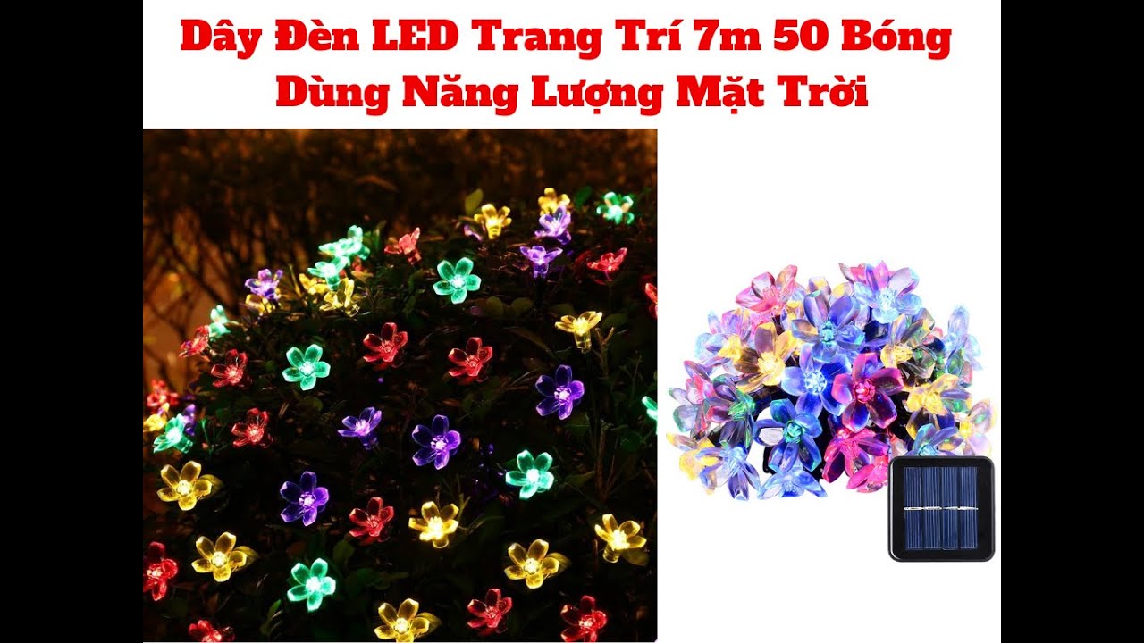 Đèn Led Flower Trang Trí 50 Bóng Năng Lượng Mặt Trời 7m