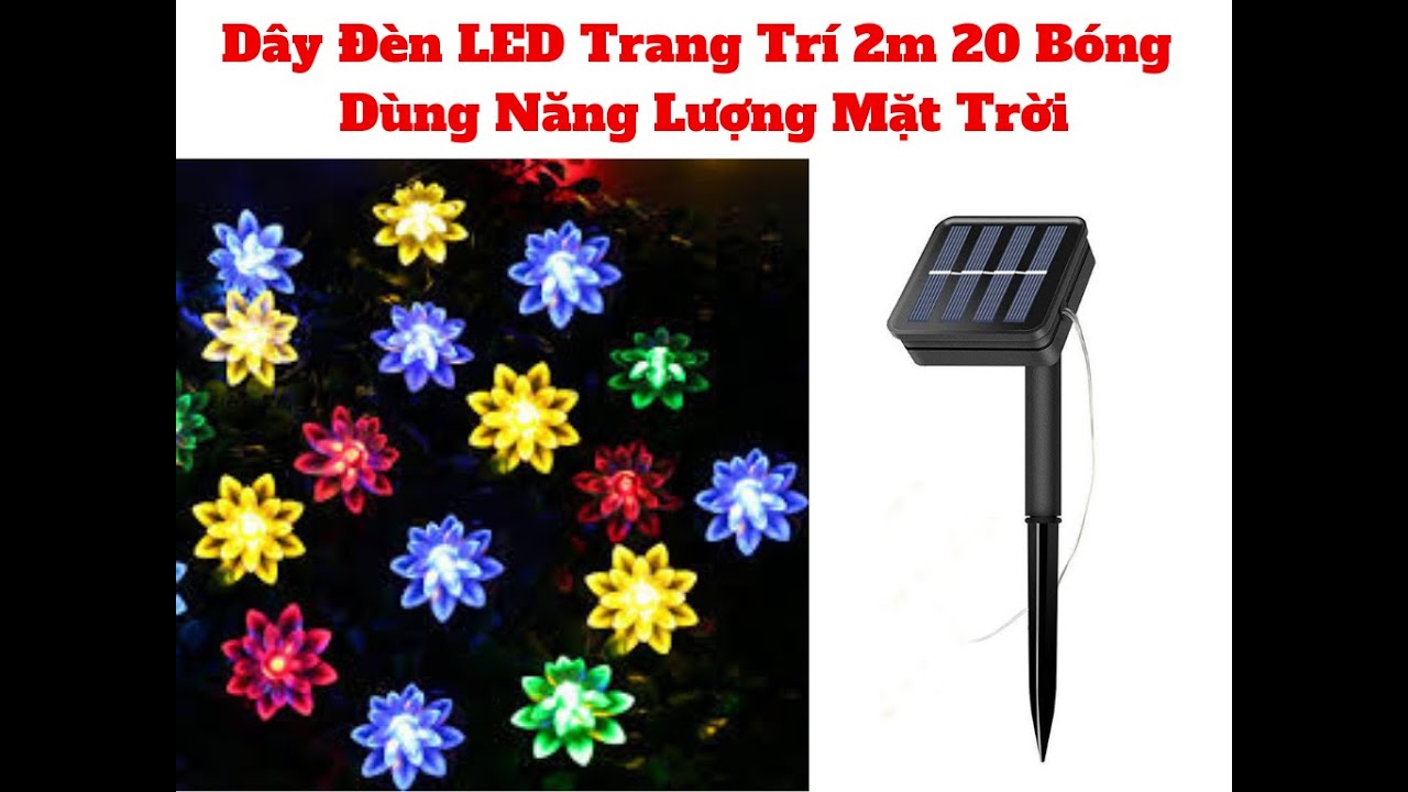 Đèn Led LotusTrang Trí 20 Bóng Năng Lượng Mặt Trời 2m