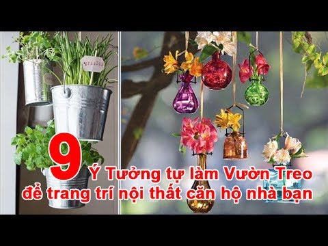 9 Ý Tưởng tự làm Vườn Treo để trang trí nội thất căn hộ nhà bạn