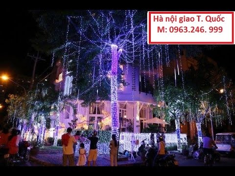 Dây đèn led quấn cây trang trí đèn led trên cây dịp lễ tết, noel trắng xanh vàng