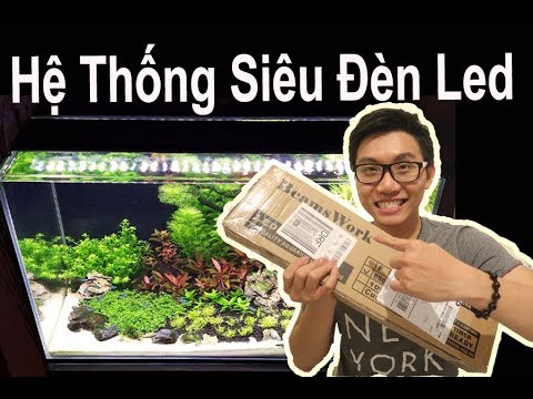 Vlog 83: Đập Hộp Hệ Thống Siêu Đèn Led Cho Hồ Thủy Sinh