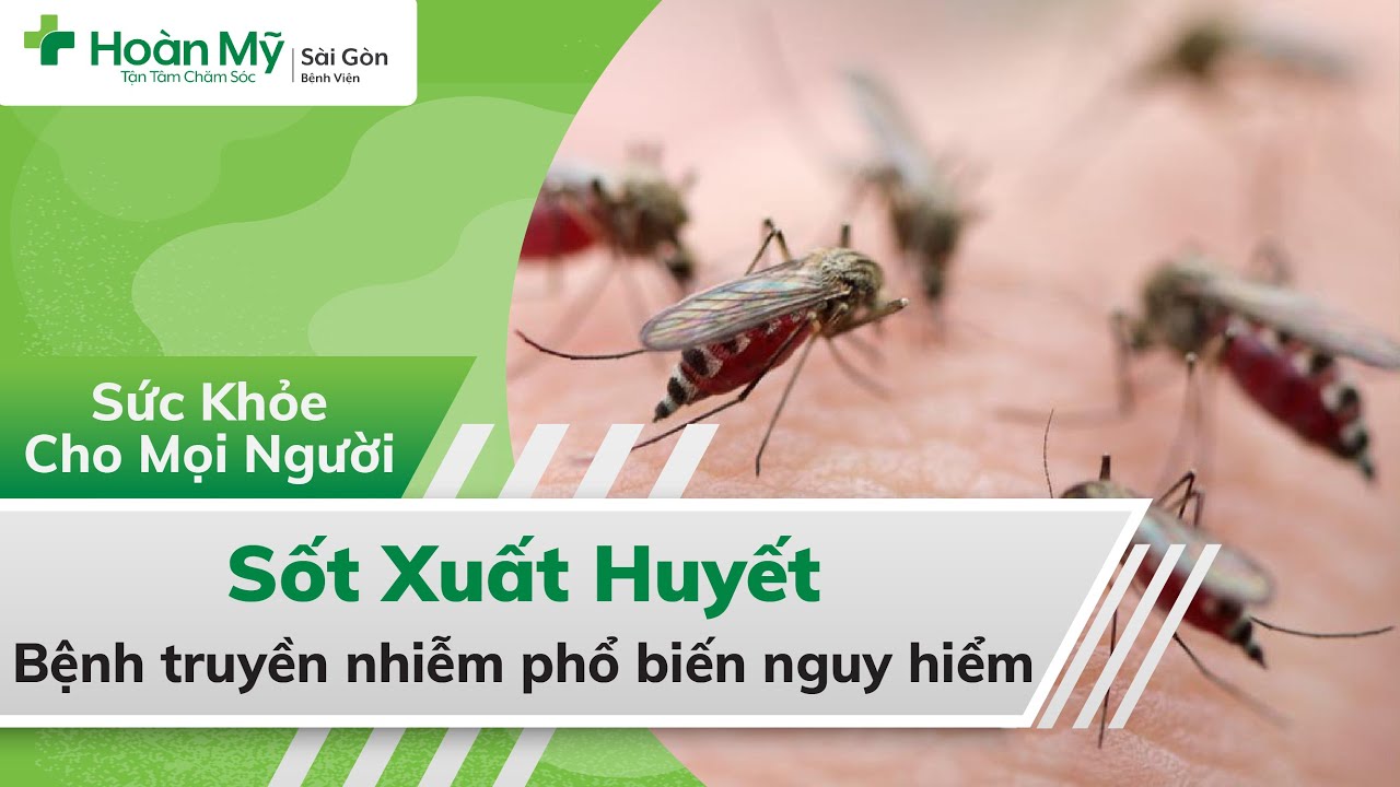 Sốt xuất huyết | Bệnh truyền nhiễm phổ biến và cực nguy hiểm