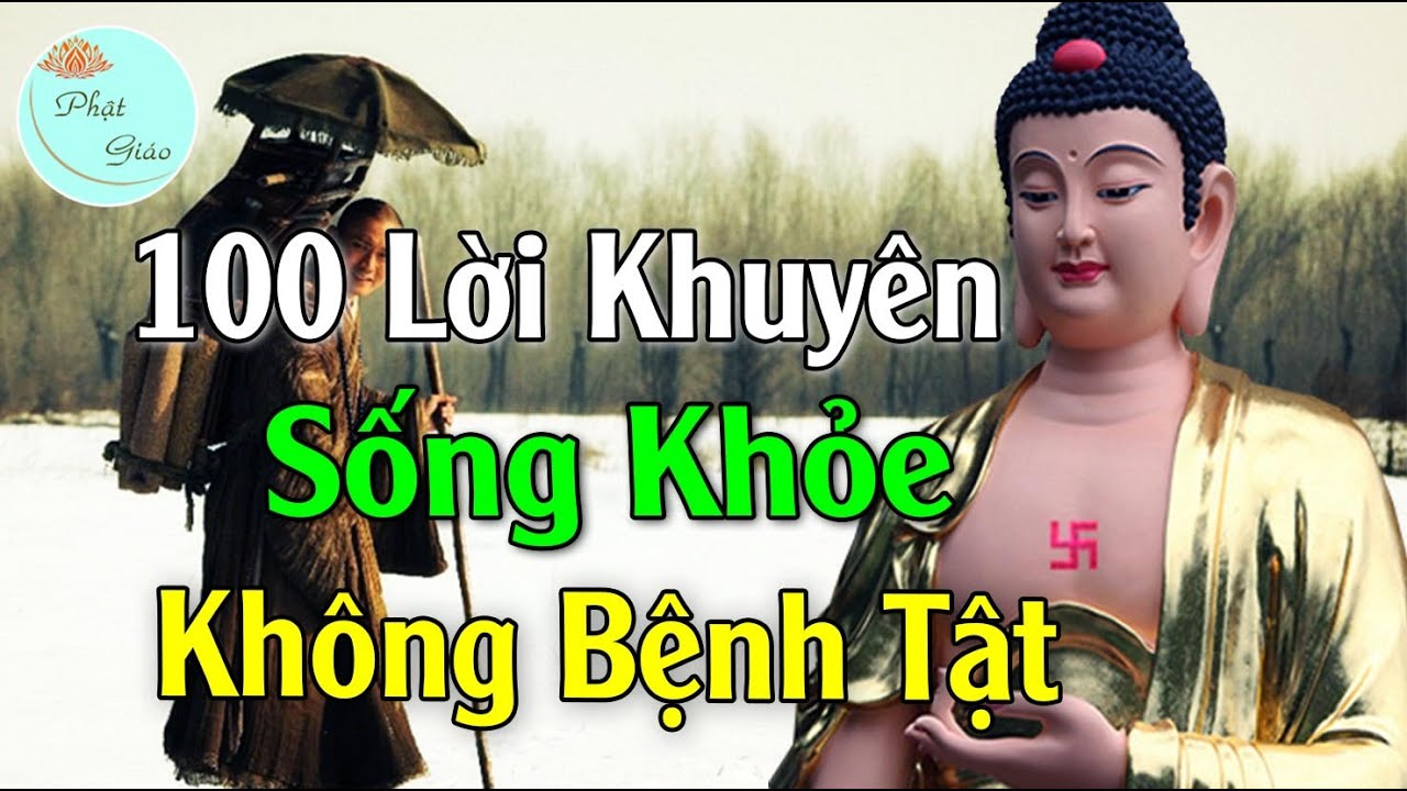 100 Lời Khuyên Quý Báu Để Giữ Gìn Sức Khỏe Xua Tan Bệnh Tật Người Trẻ Cũng Nên Gi Nhớ #Rất bổ ích