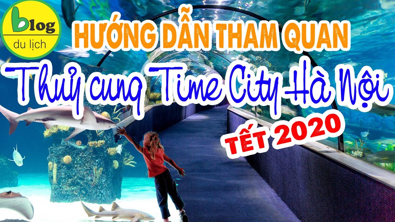 Du lịch Hà Nội: Tham quan thuỷ cung Times City 2020