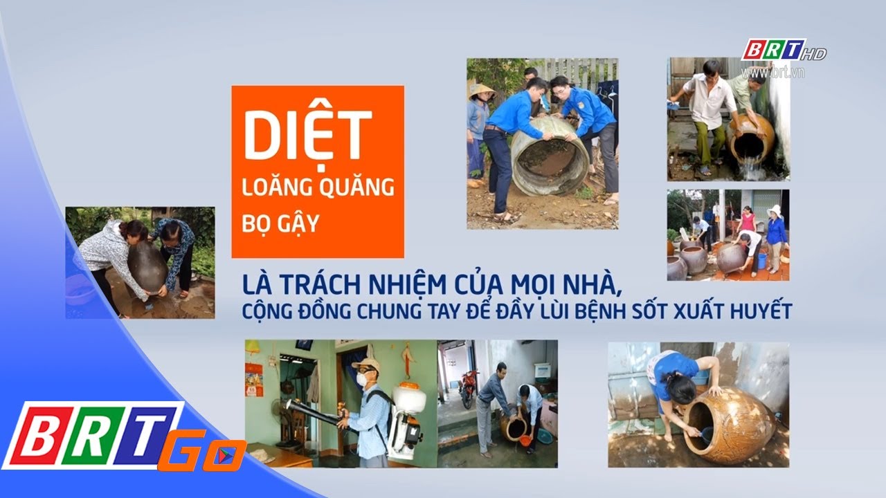 Chủ động phòng bệnh sốt xuất huyết | BRTgo