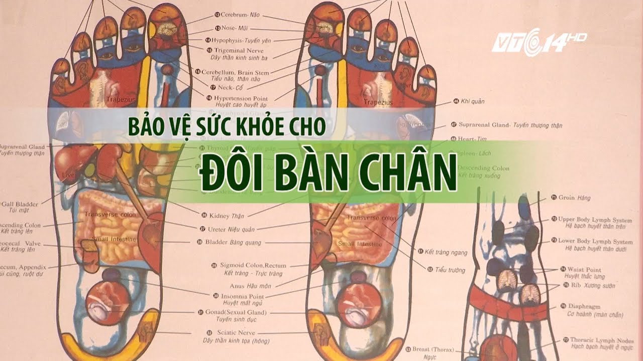 VTC14 | Bảo vệ sức khỏe cho đôi bàn chân