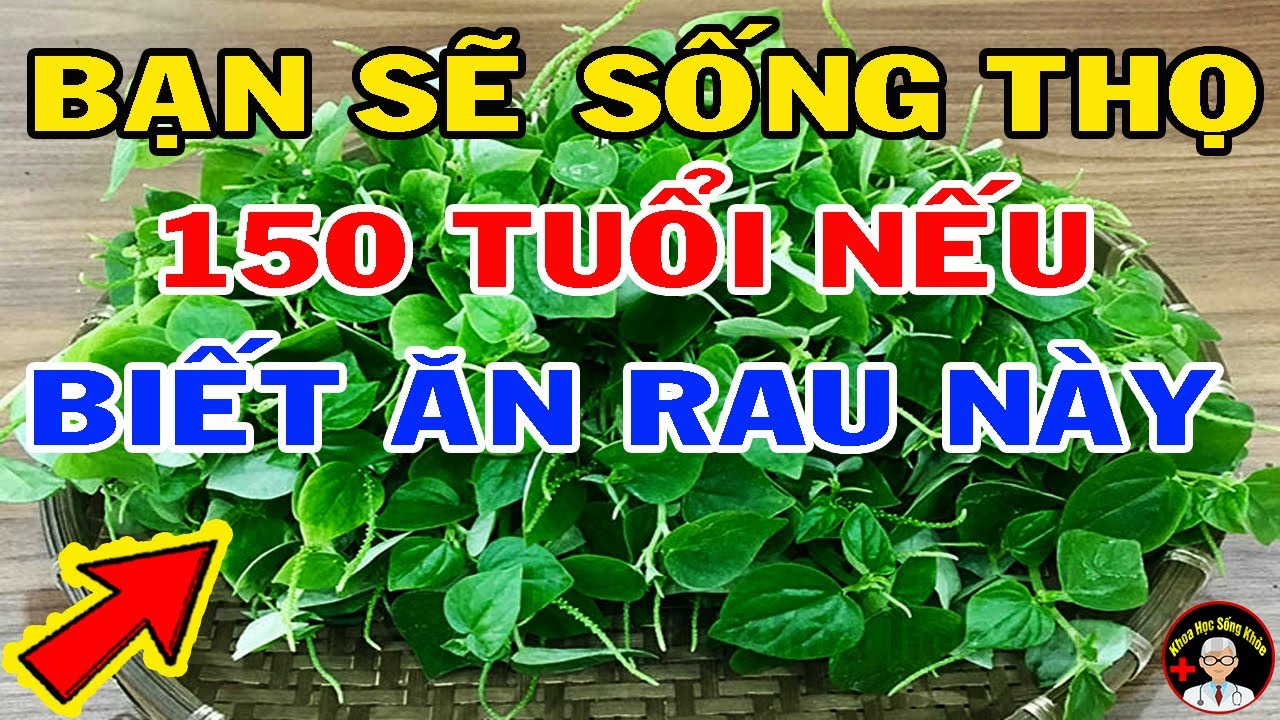 Loại Rau Này Đắt Mấy Cũng Phải Mua Ăn Vì CỰC TỐT CỰC BỔ, Chữa Khỏi 12 Bệnh Nan Y