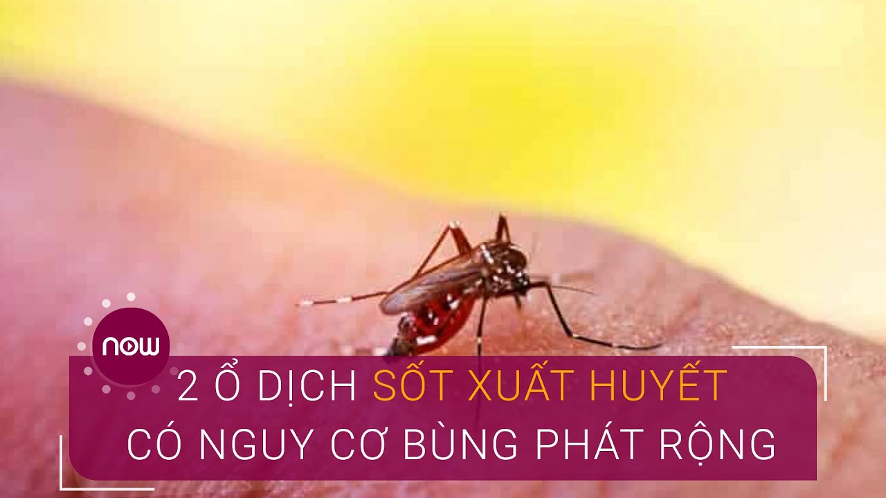 Hà Nội: 2 ổ dịch sốt xuất huyết có nguy cơ bùng phát rộng | VTC Now