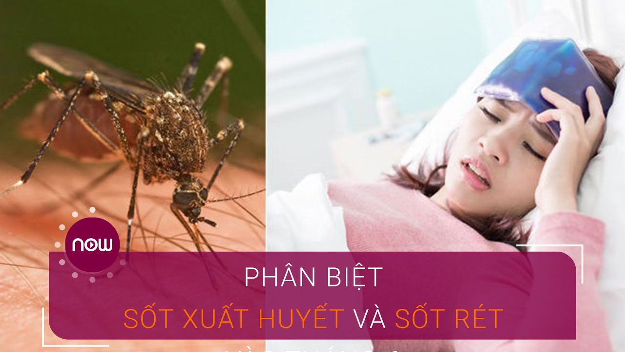 Phân biệt sốt xuất huyết và sốt rét | VTC Now