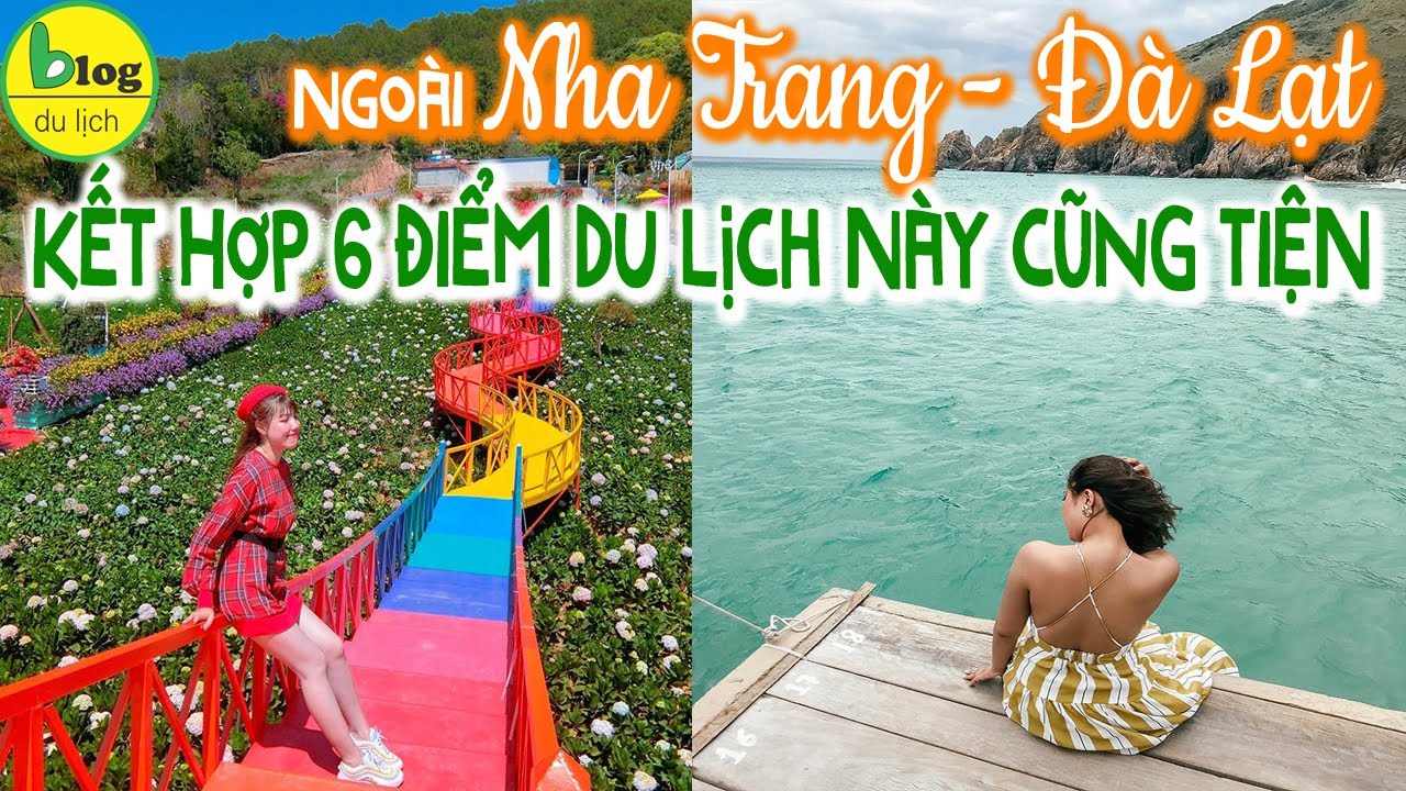 Du lịch Đà Lạt – Nha Trang đi sao cho dễ | Bật mí 6 địa điểm du lịch kết hợp với nhau siêu tiện