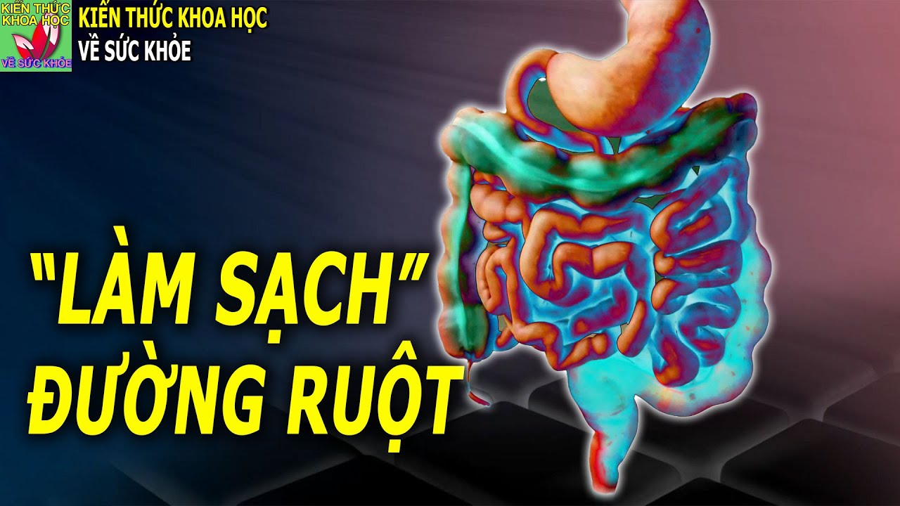 Đường ruột và sức khỏe cách làm SẠCH ĐƯỜNG RUỘT