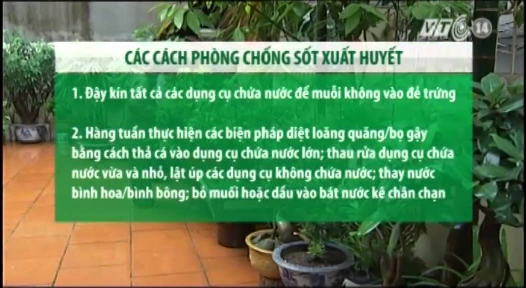 VTC14_Khuyến cáo phòng chống bệnh sốt xuất huyết