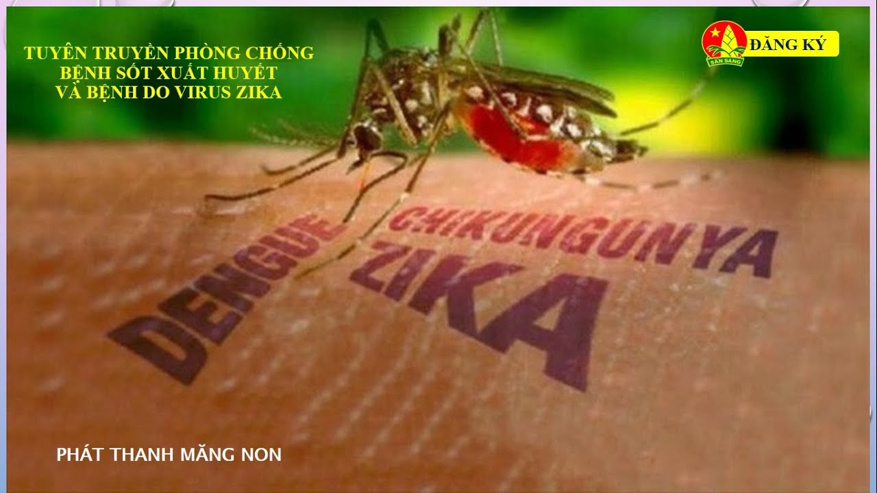 PHÒNG CHỐNG BỆNH SỐT XUẤT HUYẾT VÀ DO VIRUS ZIKA | PHÁT THANH MĂNG NON [PTMN]