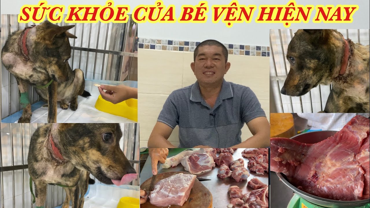 SỨC KHOẺ CỦA BÉ VỆN HIỆN NAY.CẬP NHẬT TIỀN QUỸ CỦA CẢ NHÀ