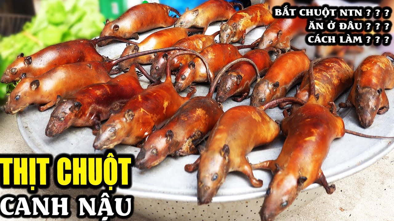 Thịt chuột Hà Nội | bí mật làng nghiện món ăn từ chuột nhất Việt Nam