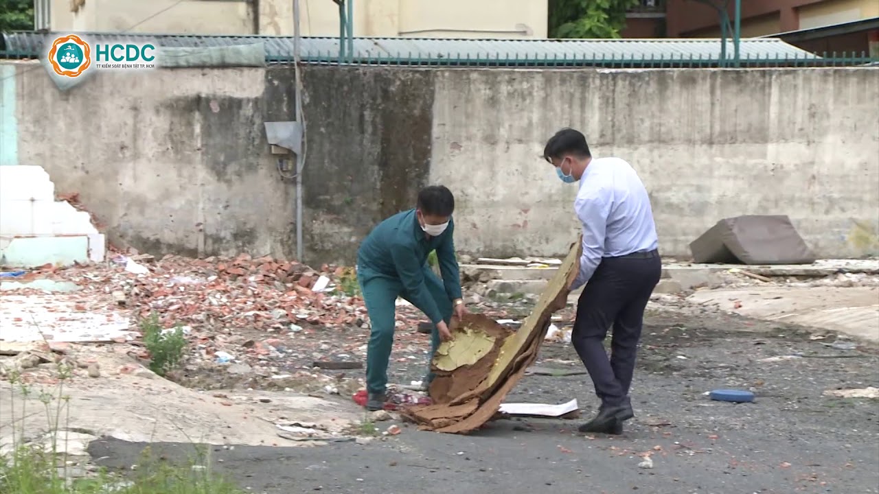 [HCDC] Phòng, chống sốt xuất huyết