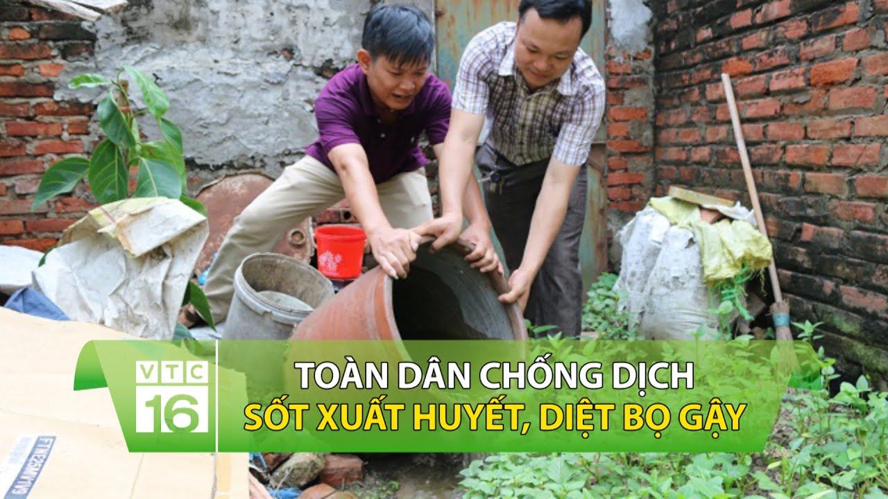 Toàn dân chống dịch sốt xuất huyết, diệt bọ gậy | VTC16