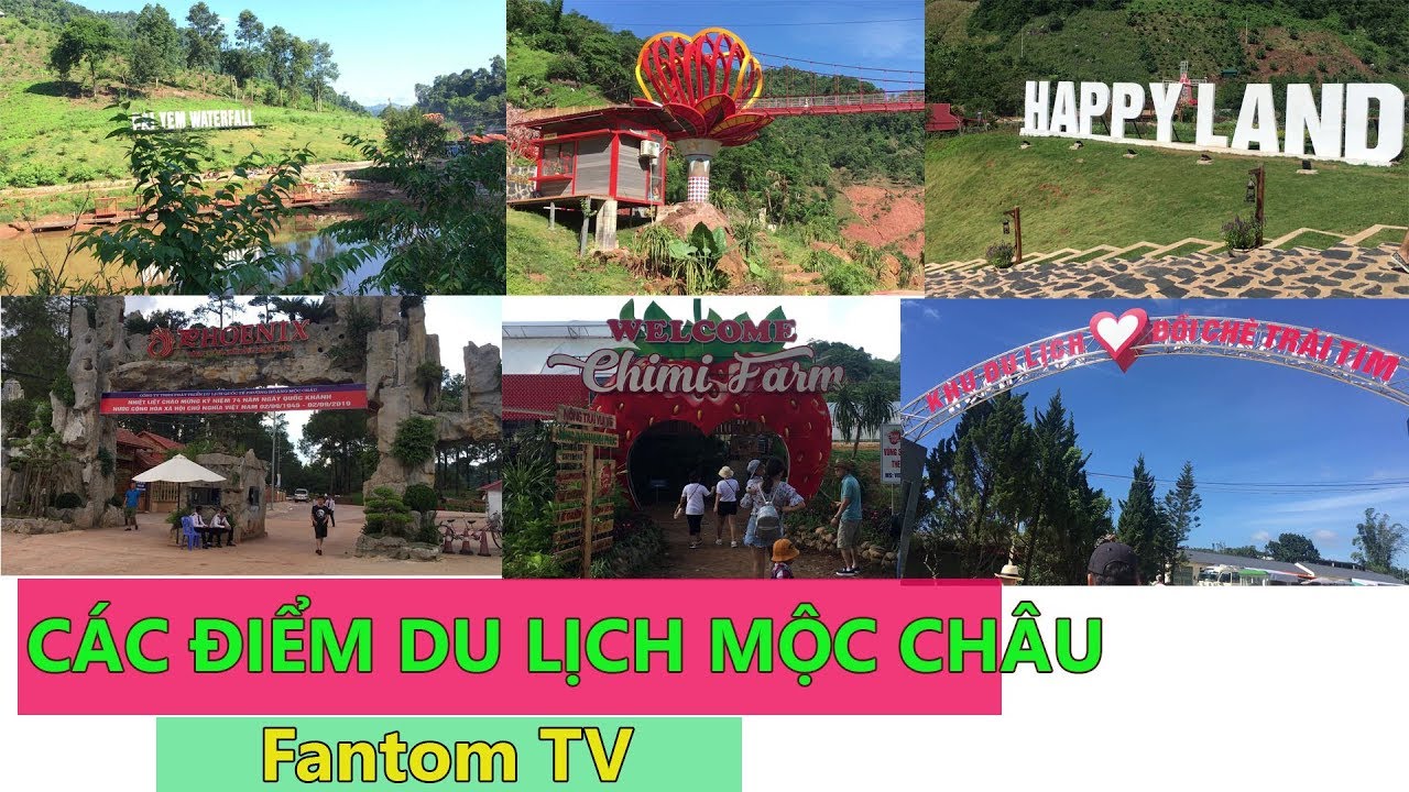 Các Điểm Du Lịch Tại Mộc Châu  Sơn La Hấp Dẫn|Fantom TV