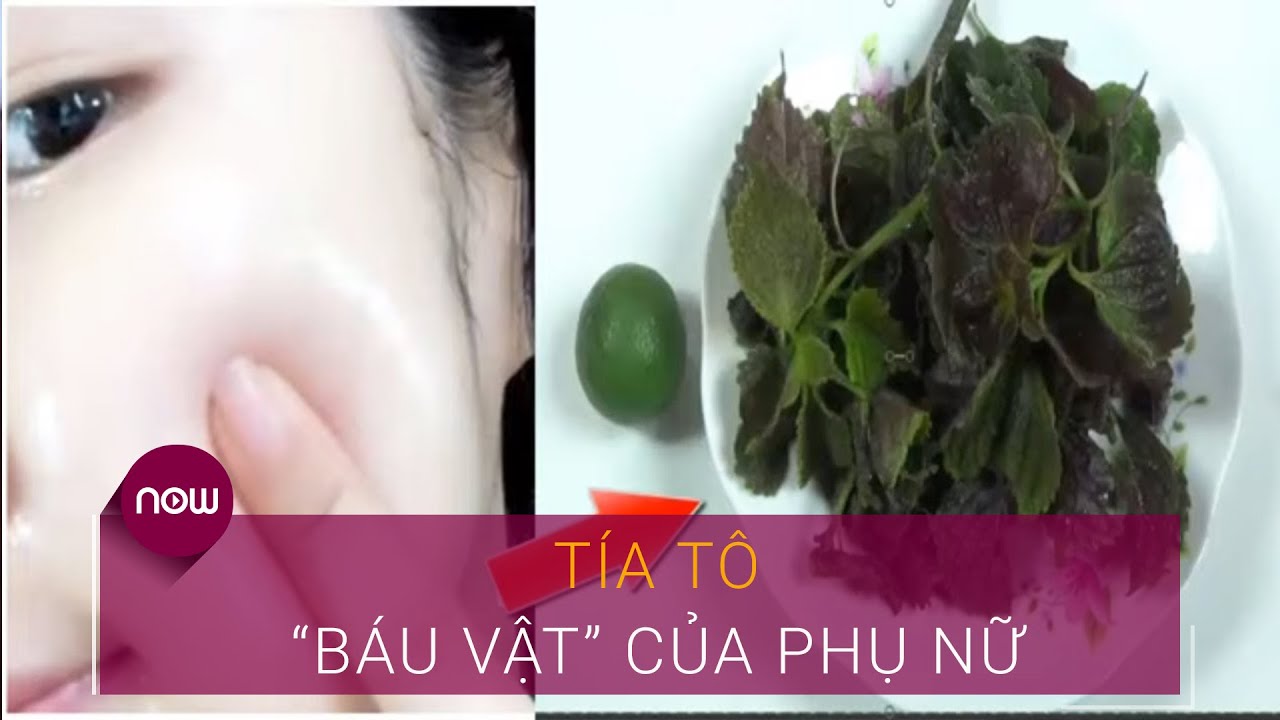 Cây tía tô: Báu vật đối với phụ nữ | VTC Now