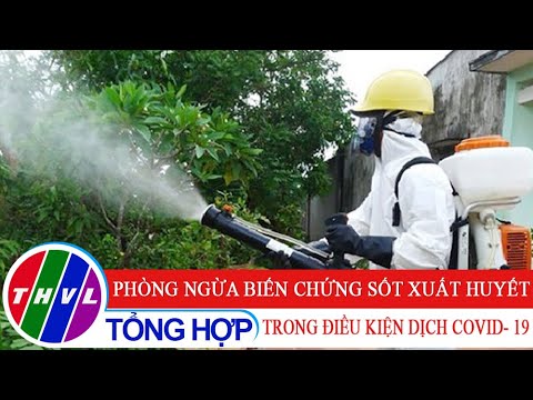 Sức khỏe của bạn: Phòng ngừa biến chứng sốt xuất huyết trong điều kiện dịch COVID – 19