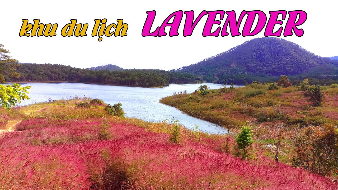 khu du lịch LAVENDER HỒ TUYỀN LÂM đà lạt travel