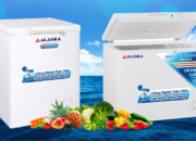 Tủ đông Alaska 1 ngăn chính hãng: Ưu điểm, phân loại, cách sử dụng