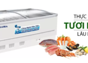 Tủ đông kính lùa Alaska chất lượng cao, tiết kiệm điện năng